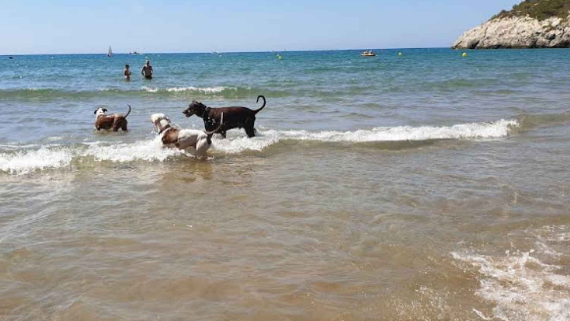 Cala Vallcarca (Sitges – Barcelona)